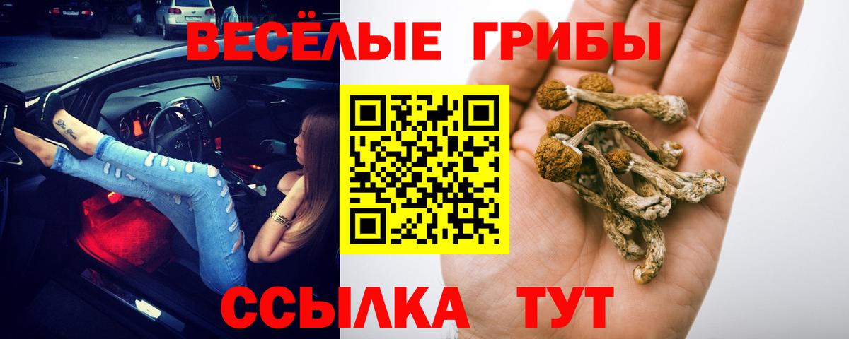 Псилоцибиновые грибы прущие грибы Тихорецк